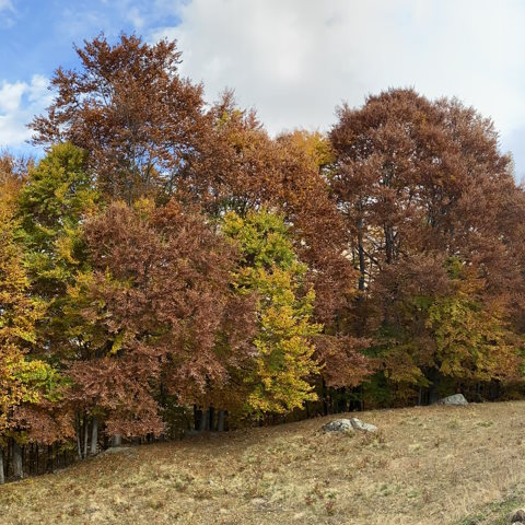 Escursioni autunnali